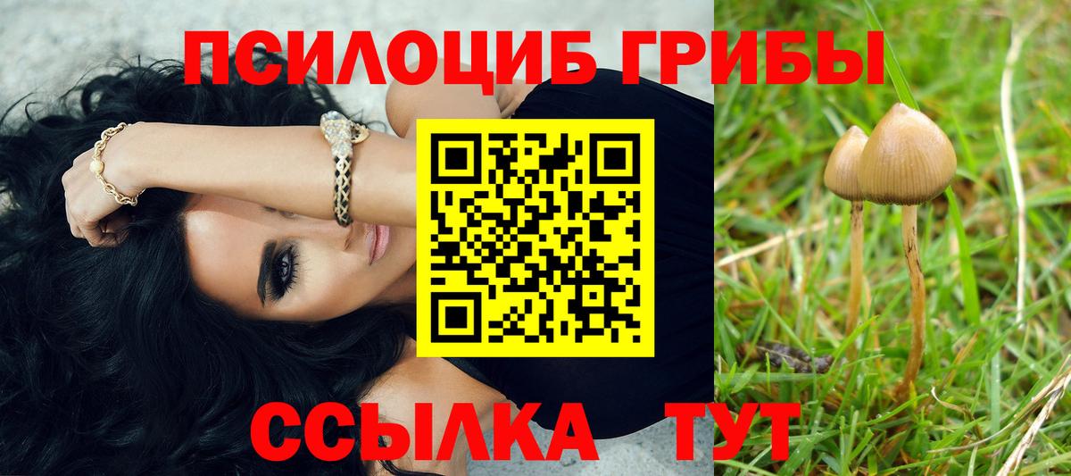 Галлюциногенные грибы Psilocybe  Вход с VPN  где найти   Галлюциногенные грибы MAGIC MUSHROOMS  Гурьевск 