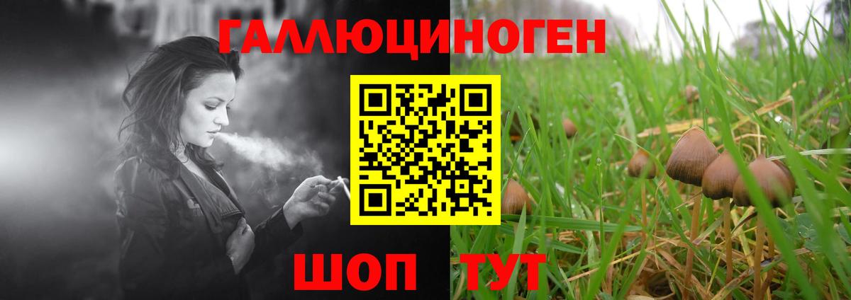 Галлюциногенные грибы мухоморы Гурьевск